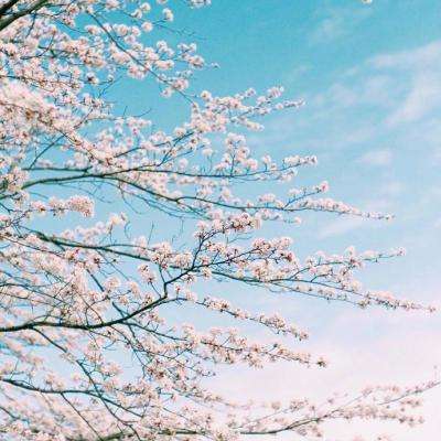 天天中彩票下载手机版